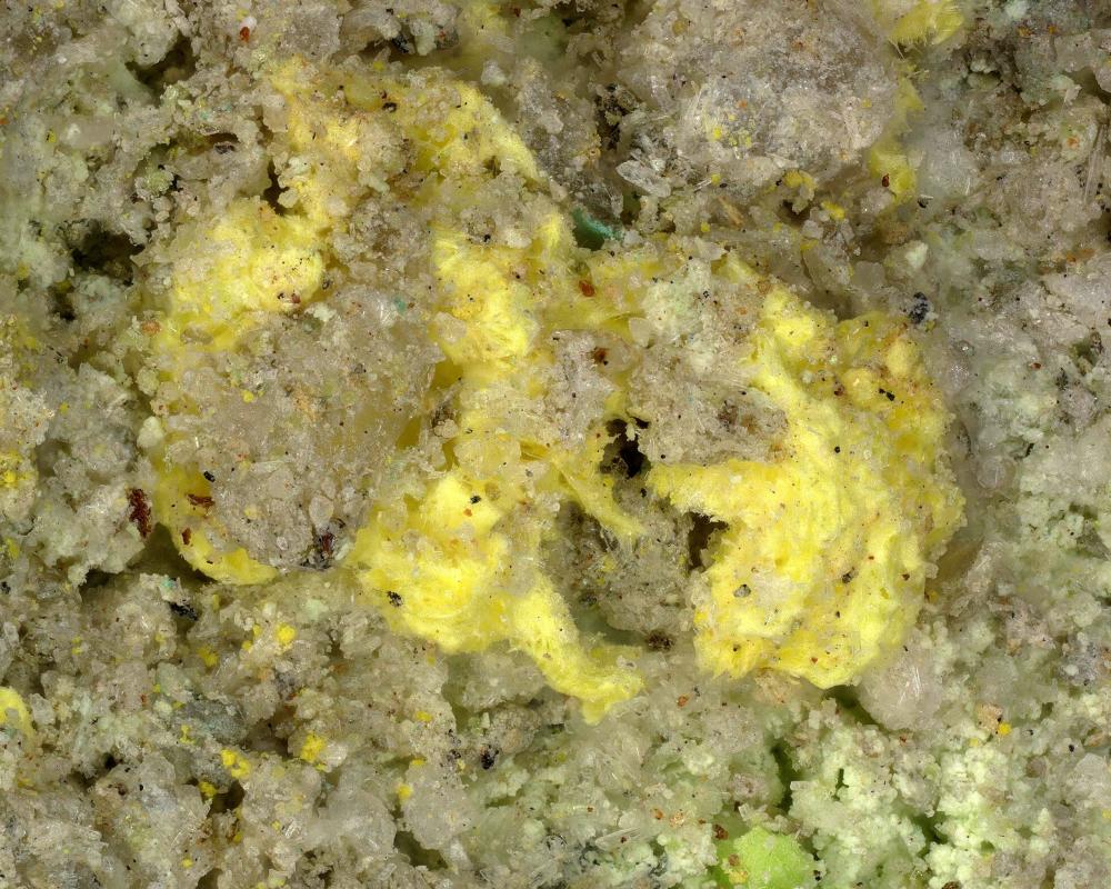 Alwilkinsite-(Y)